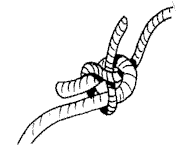 Nodo della rete