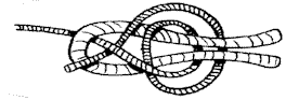 Nodo della rete