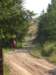 photo36_small.jpg