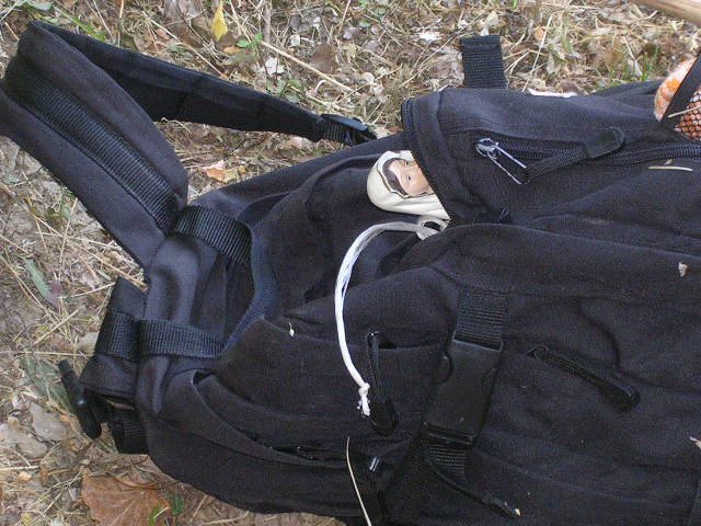 photo77.jpg
