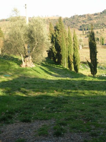 photo31.jpg