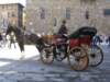 firenze8_small.jpg