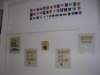 museostoriadelloscautismo27_small.jpg